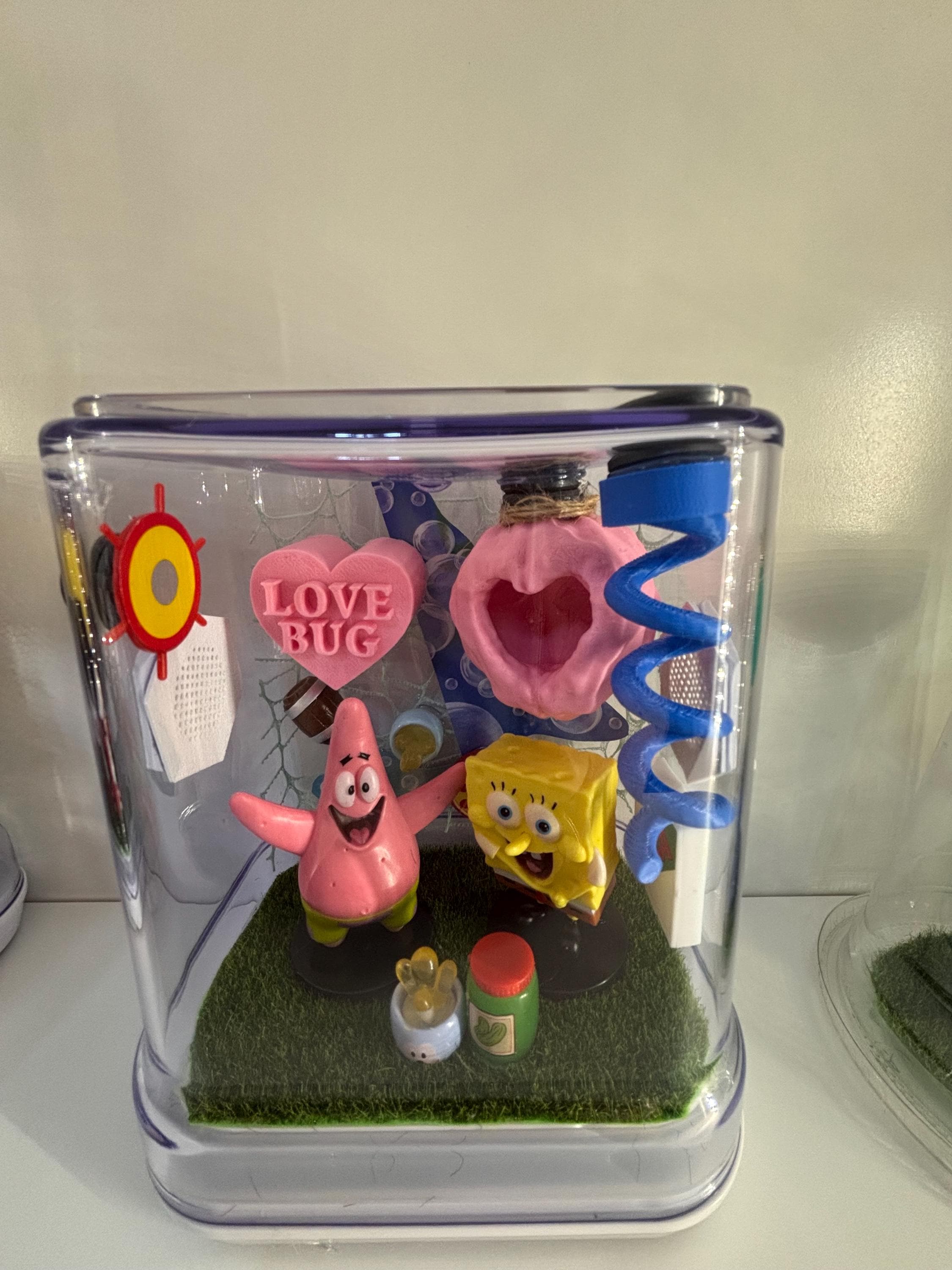 SpongeBob #3 Jumping spider enclosure