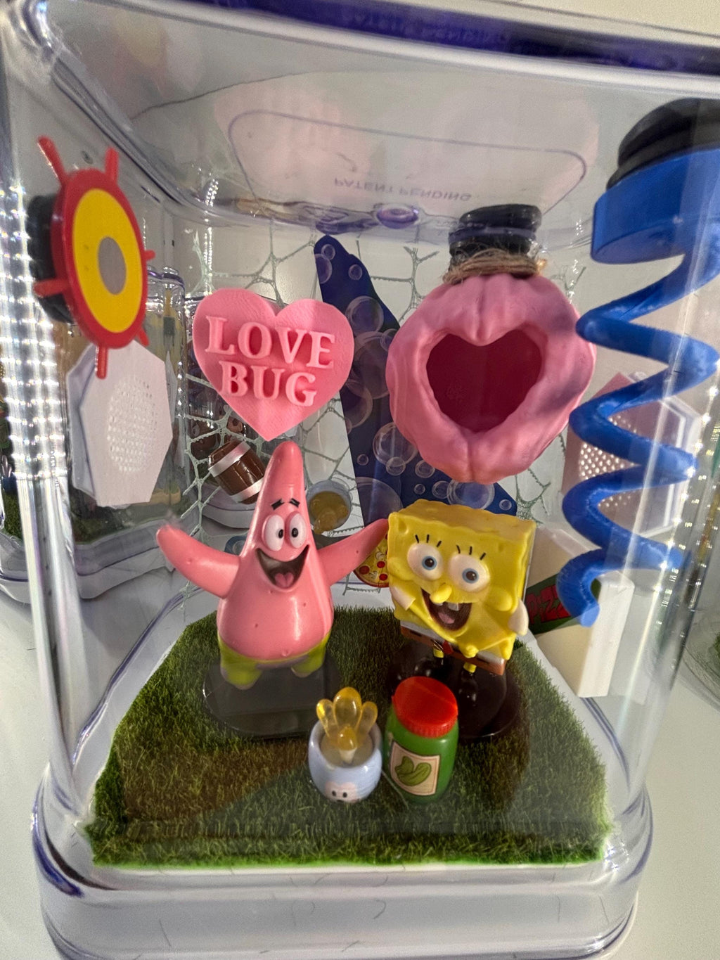 SpongeBob #3 Jumping spider enclosure