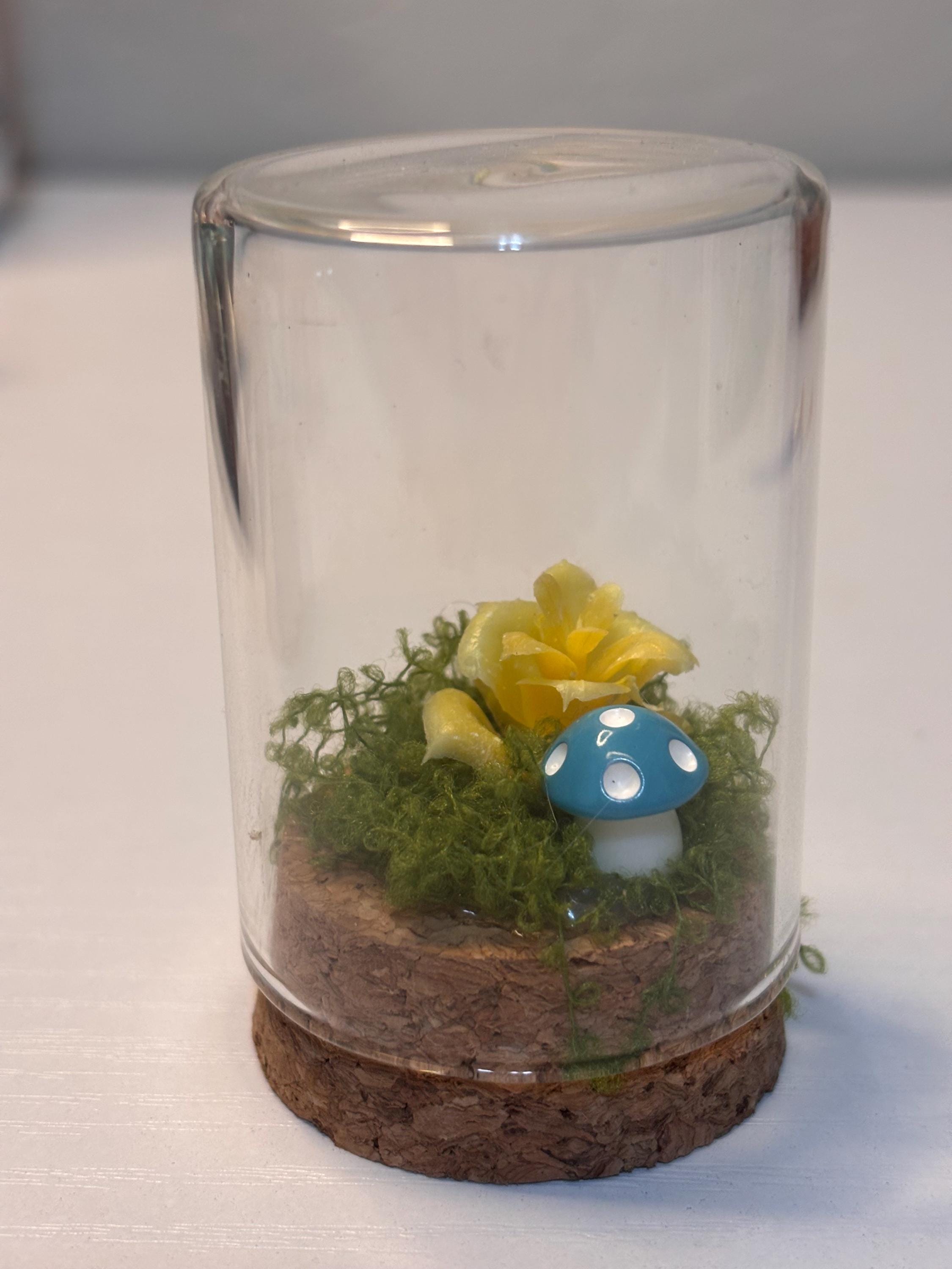 Memory Bottle for Jumping spider that has crossed the rainbow bridge.