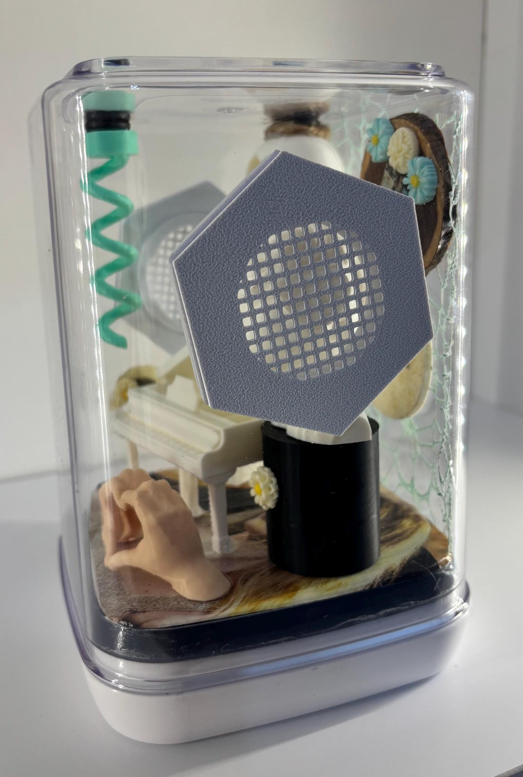 Medium Taylor Swift Fearless themed Jumping spider enclosure