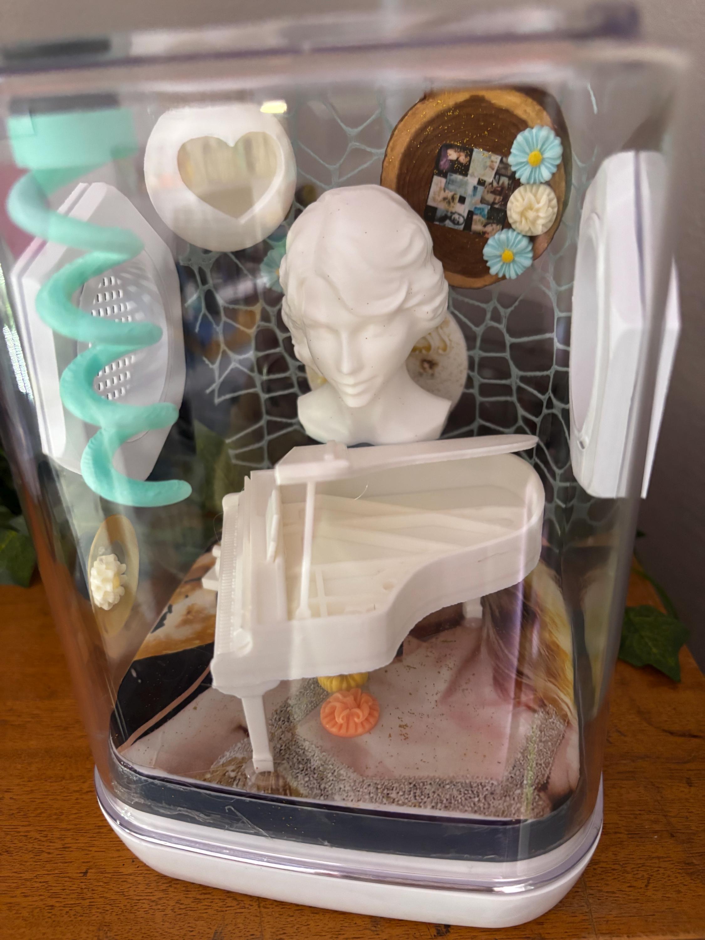 Medium Taylor Swift Fearless themed Jumping spider enclosure