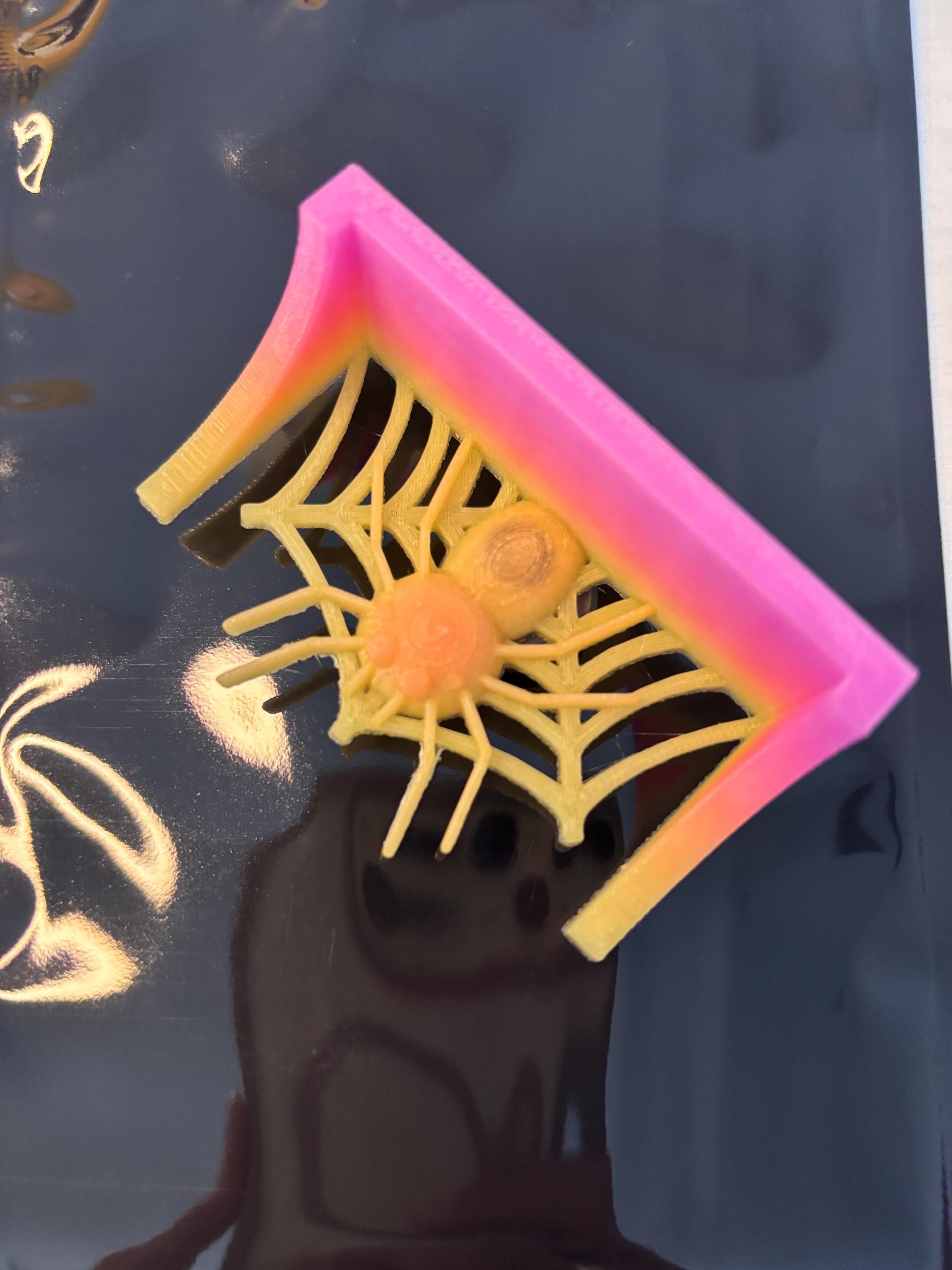 Spider shelf for Jumping spider in a variety of colors