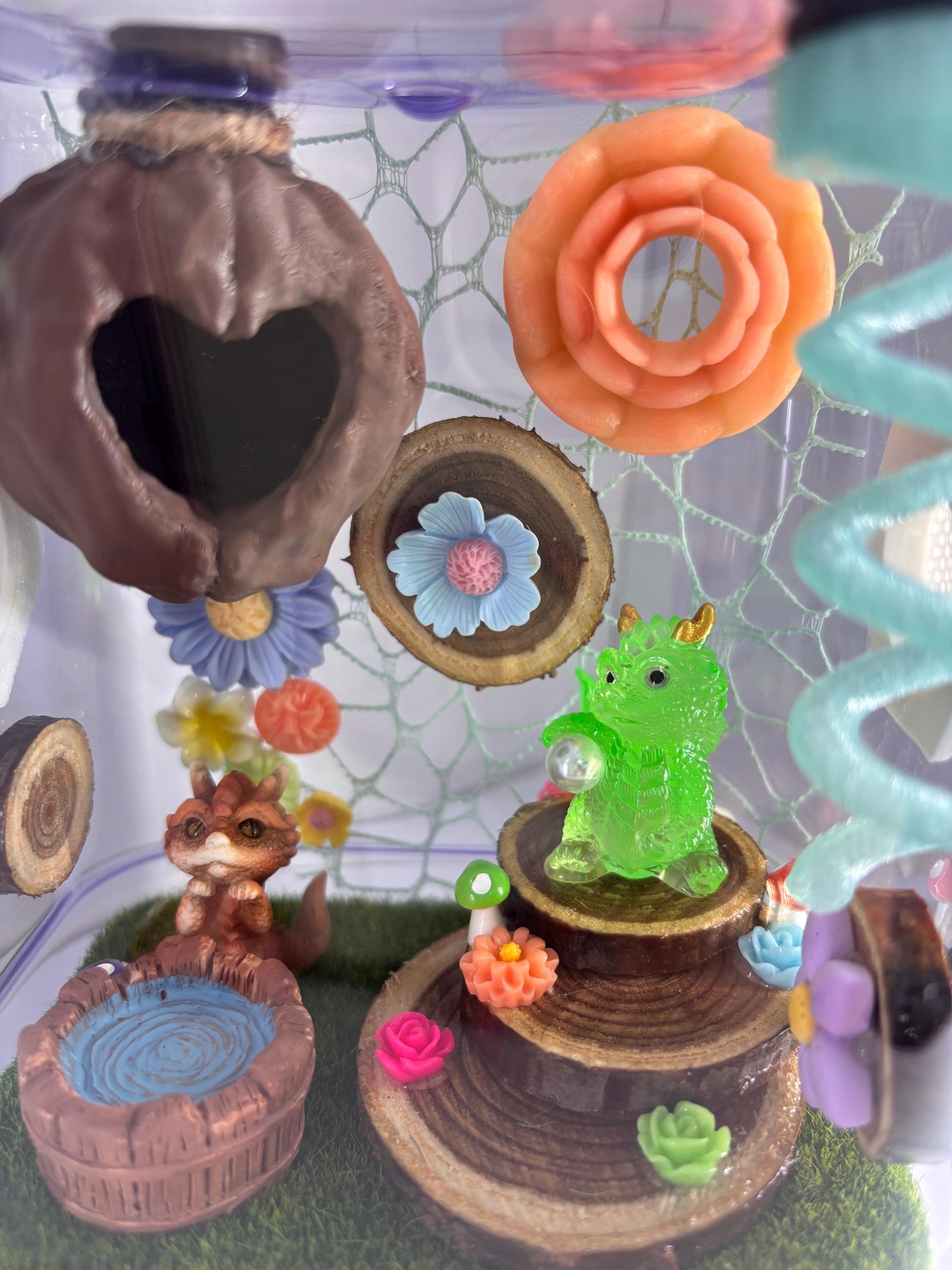Dragon Fairy Garden Jumping spider enclosure