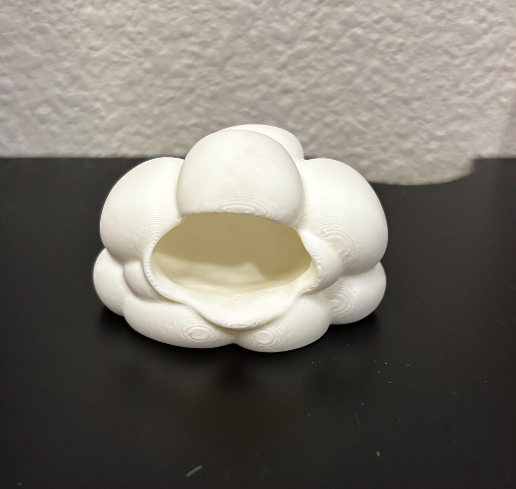 Cloud Hide for Jumping spider in a variety of colors