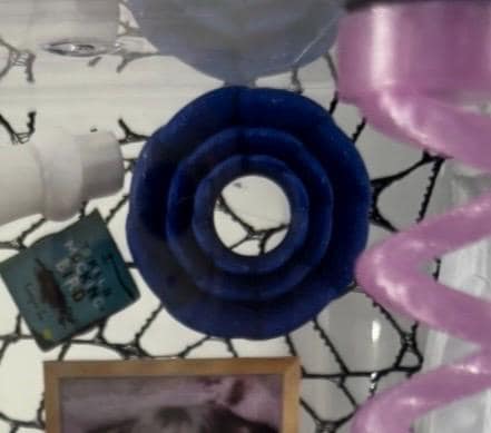 Flower Hide for Jumping spider in a variety of colors