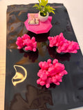 Jumping Spider Enclosure Crystals: 3D Printed Enrichment Decor (Pixie Dust)
