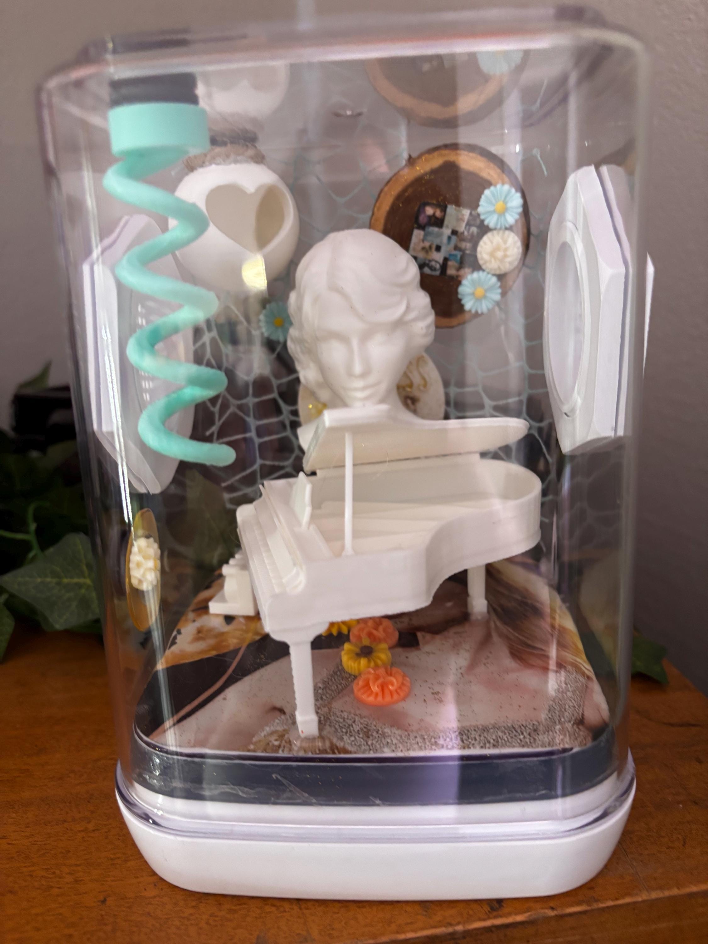 Medium Taylor Swift Fearless themed Jumping spider enclosure