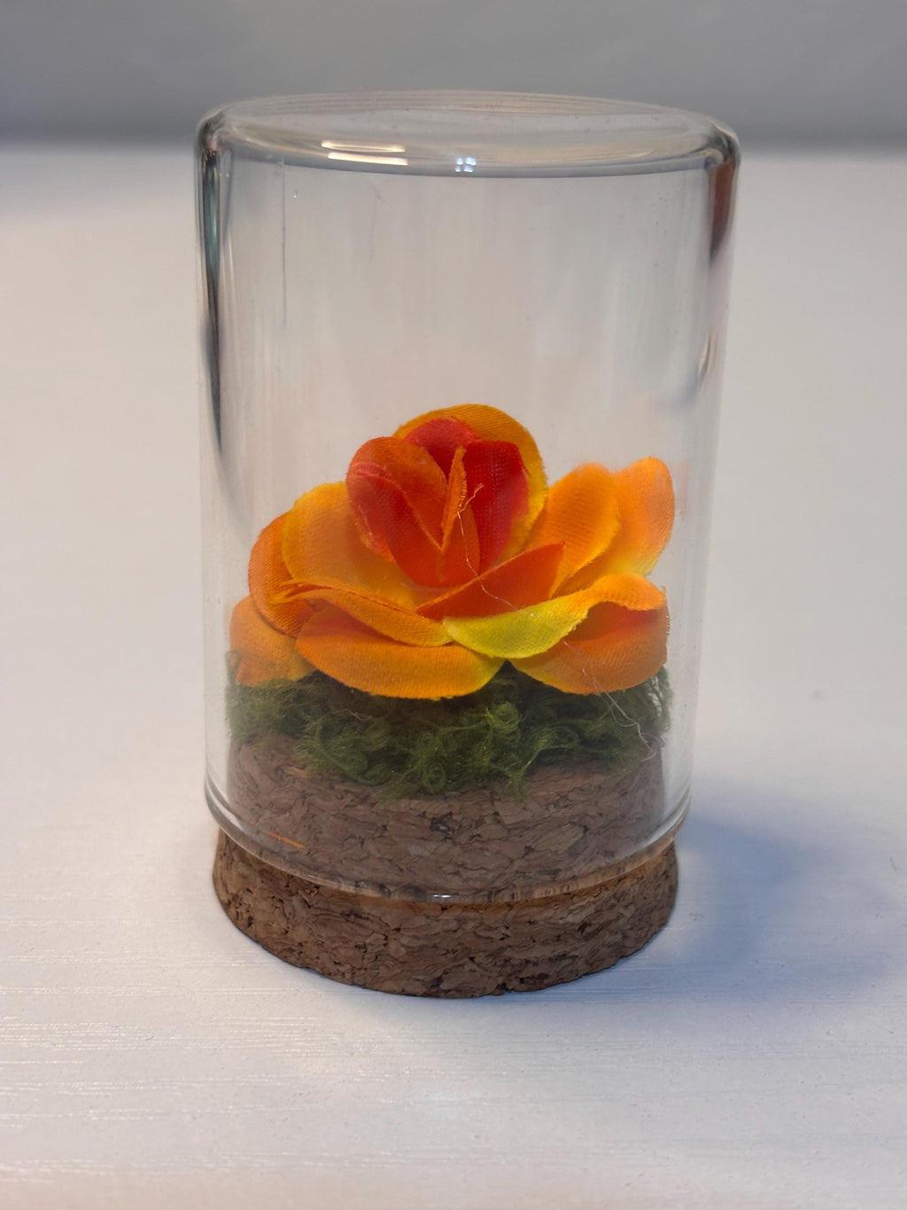 Memory Bottle for Jumping spider that has crossed the rainbow bridge.