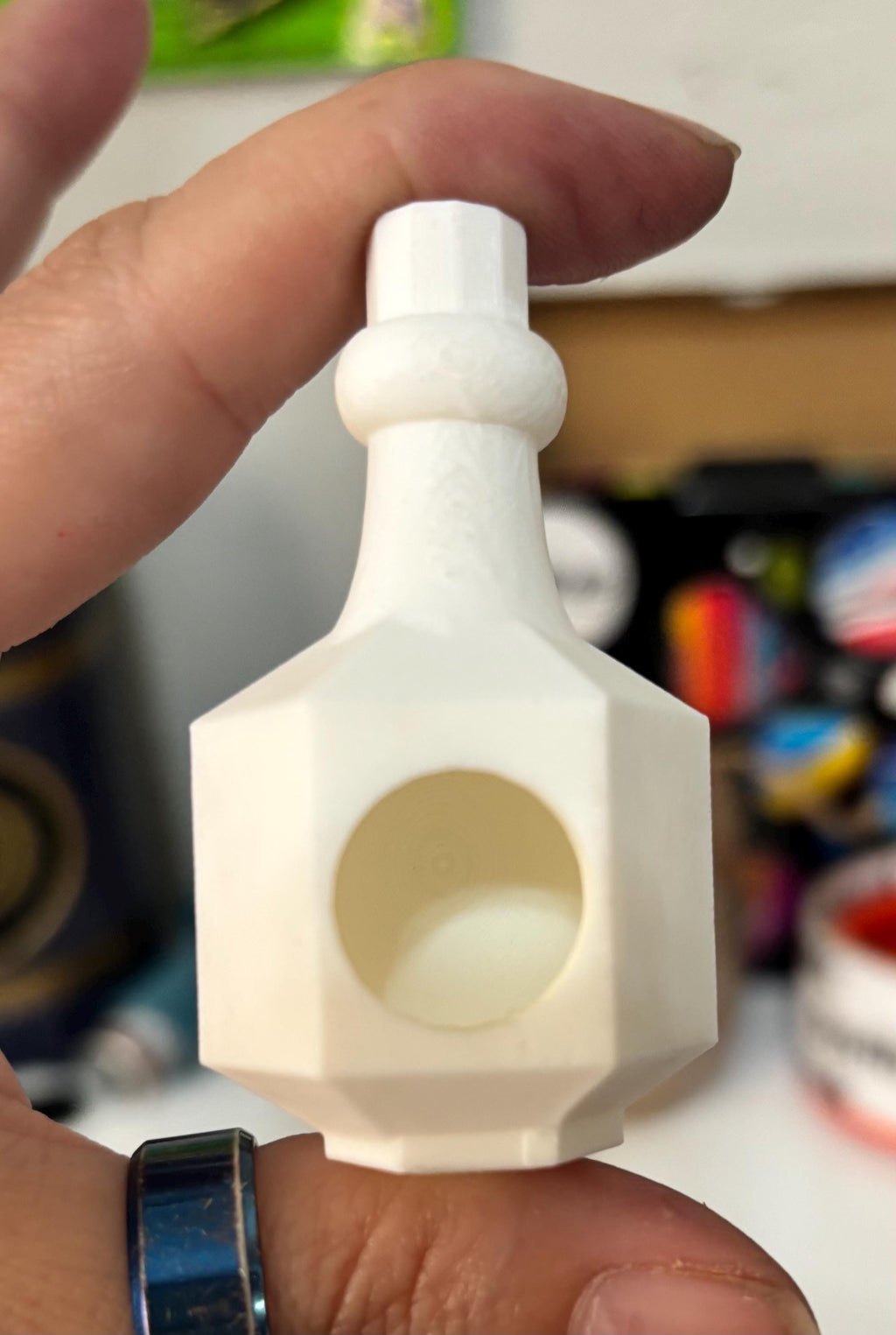 Bottle Hide for Jumping spider in a variety of colors