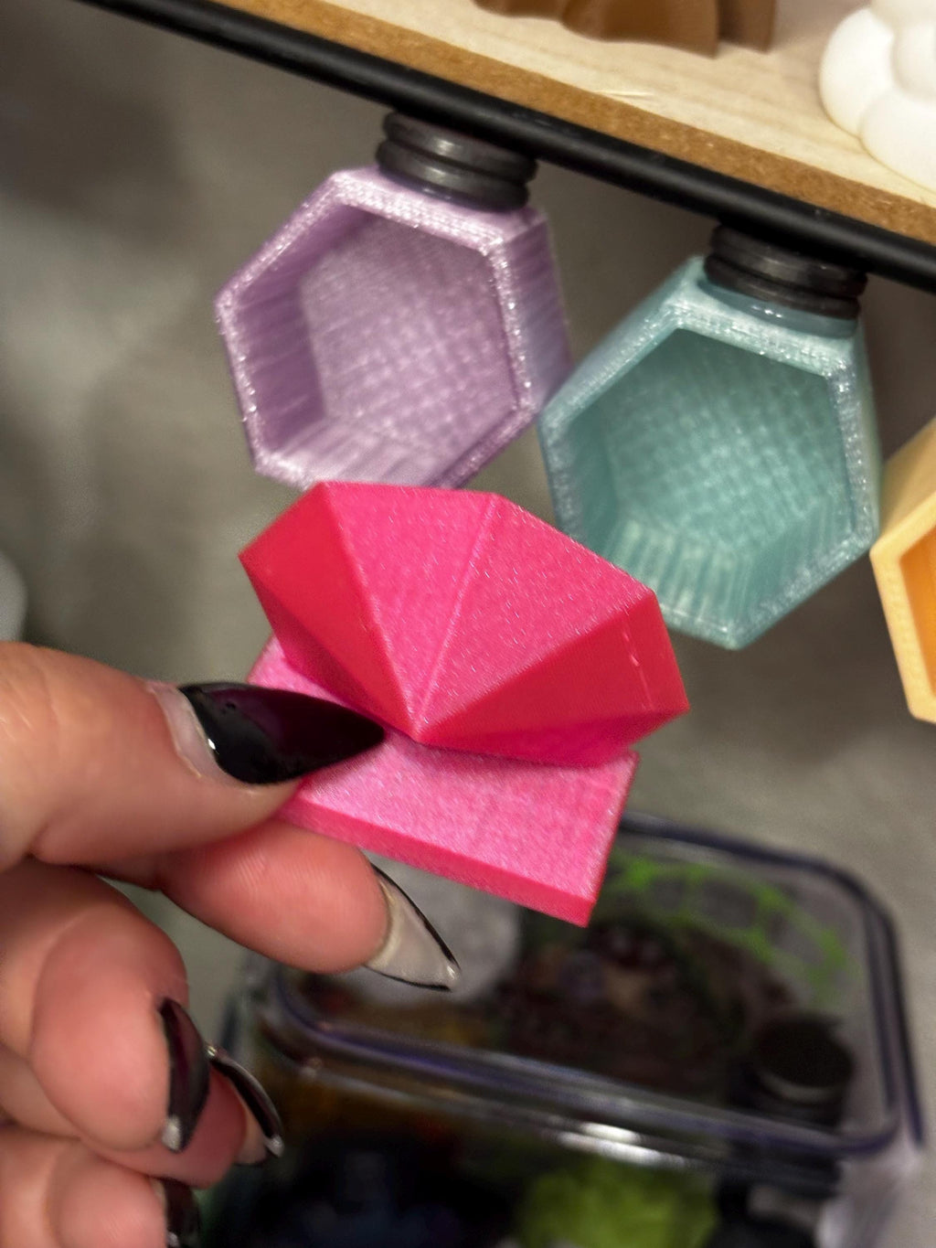 Hexagon Hide for Jumping spider in a variety of colors