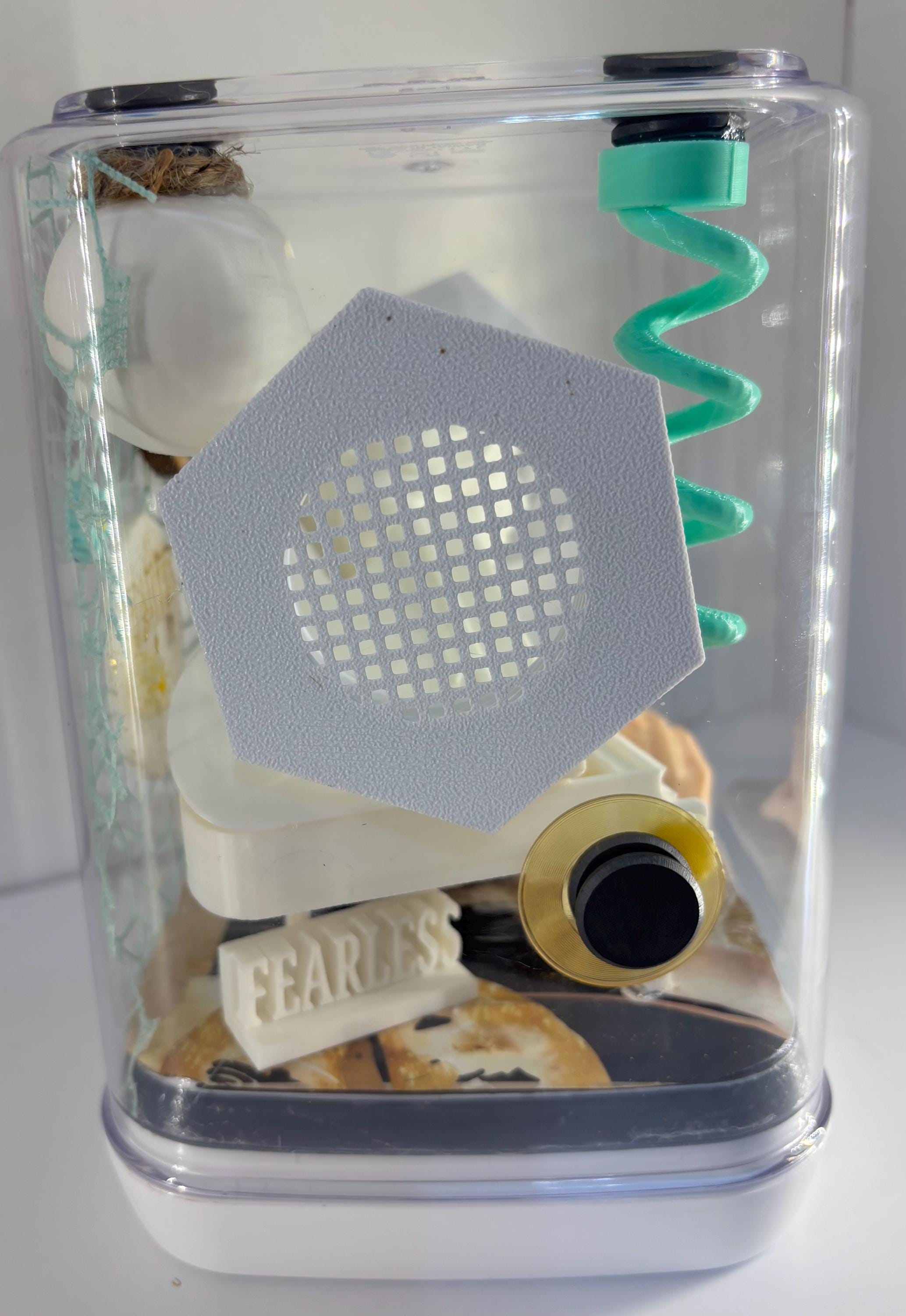 Medium Taylor Swift Fearless themed Jumping spider enclosure