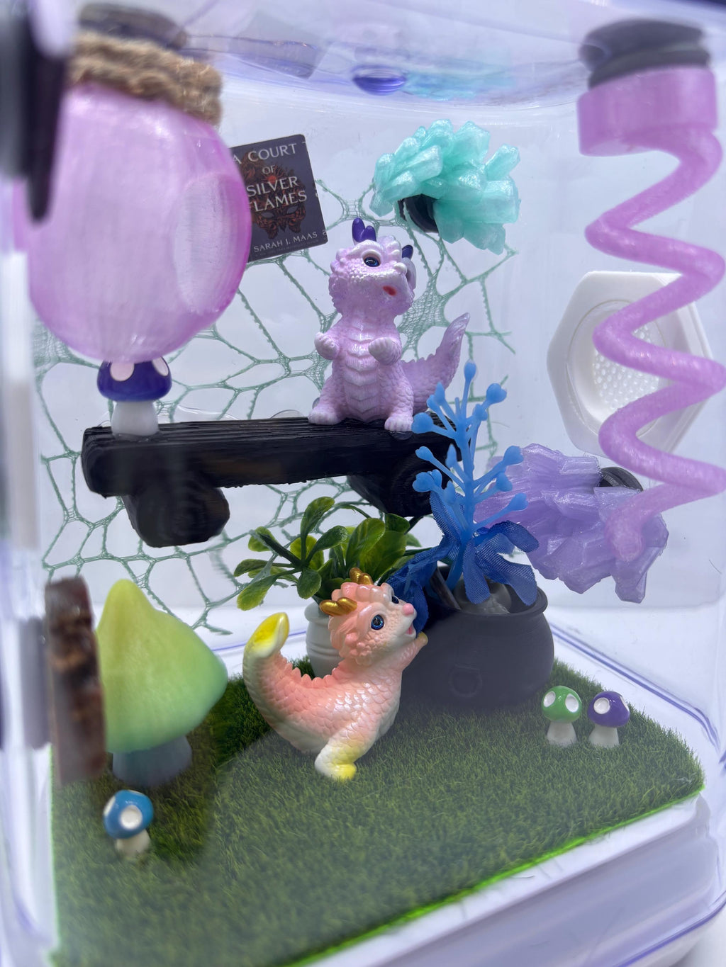 Dragon Fairy Garden Jumping spider enclosure