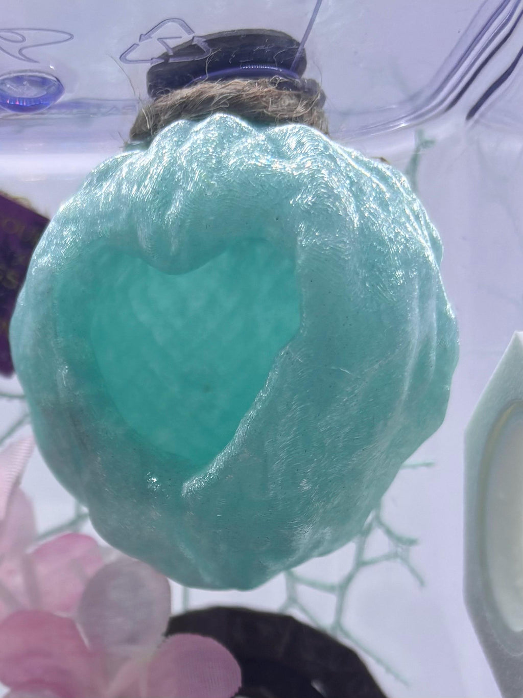 Heart Walnut Hide for Jumping spider in a variety of colors