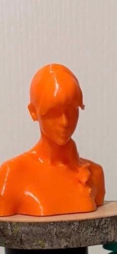 Taylor Swift Bust for Jumping spider in a variety of colors