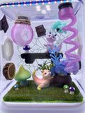 Dragon Fairy Garden Jumping spider enclosure