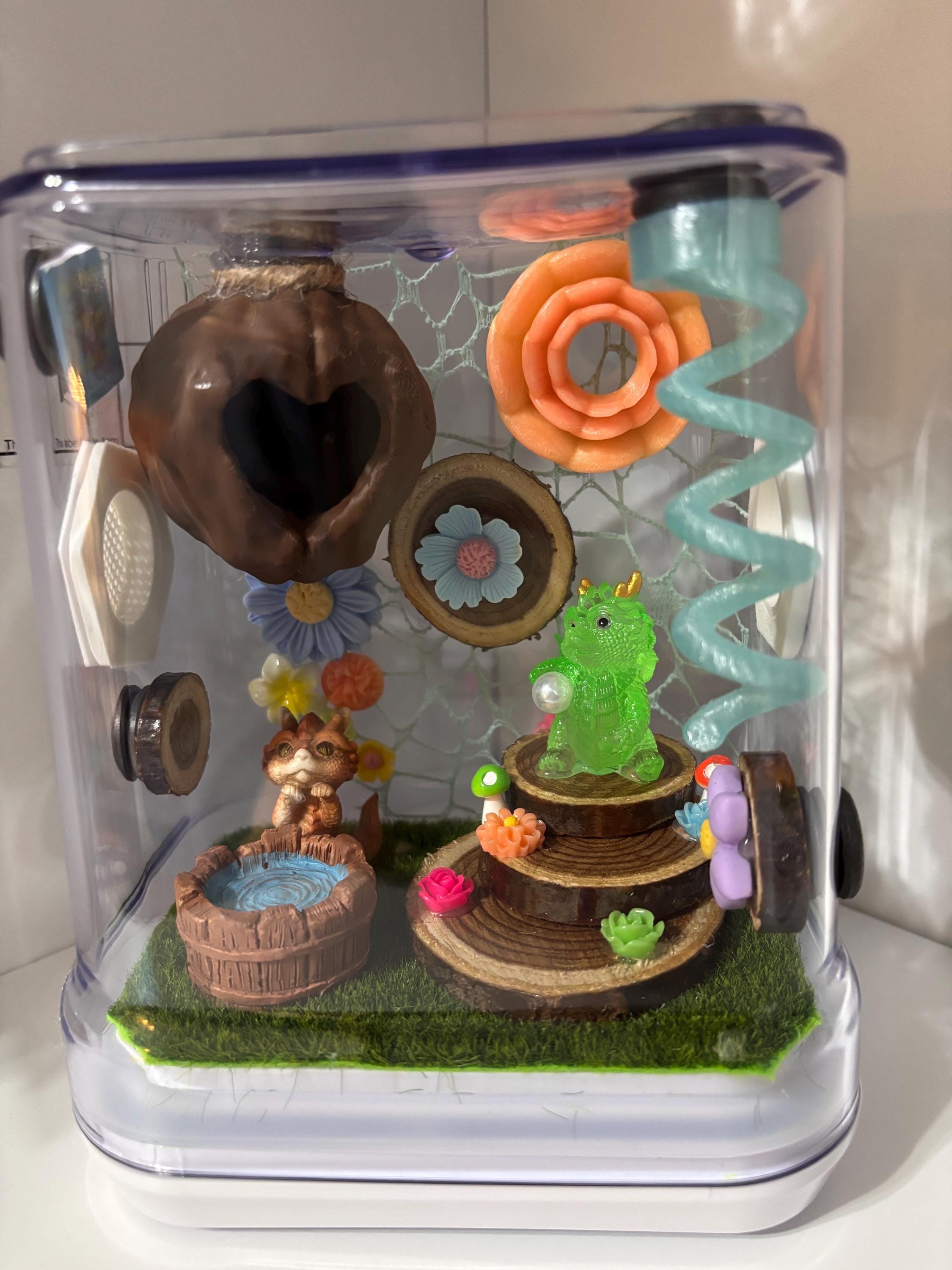 Dragon Fairy Garden Jumping spider enclosure