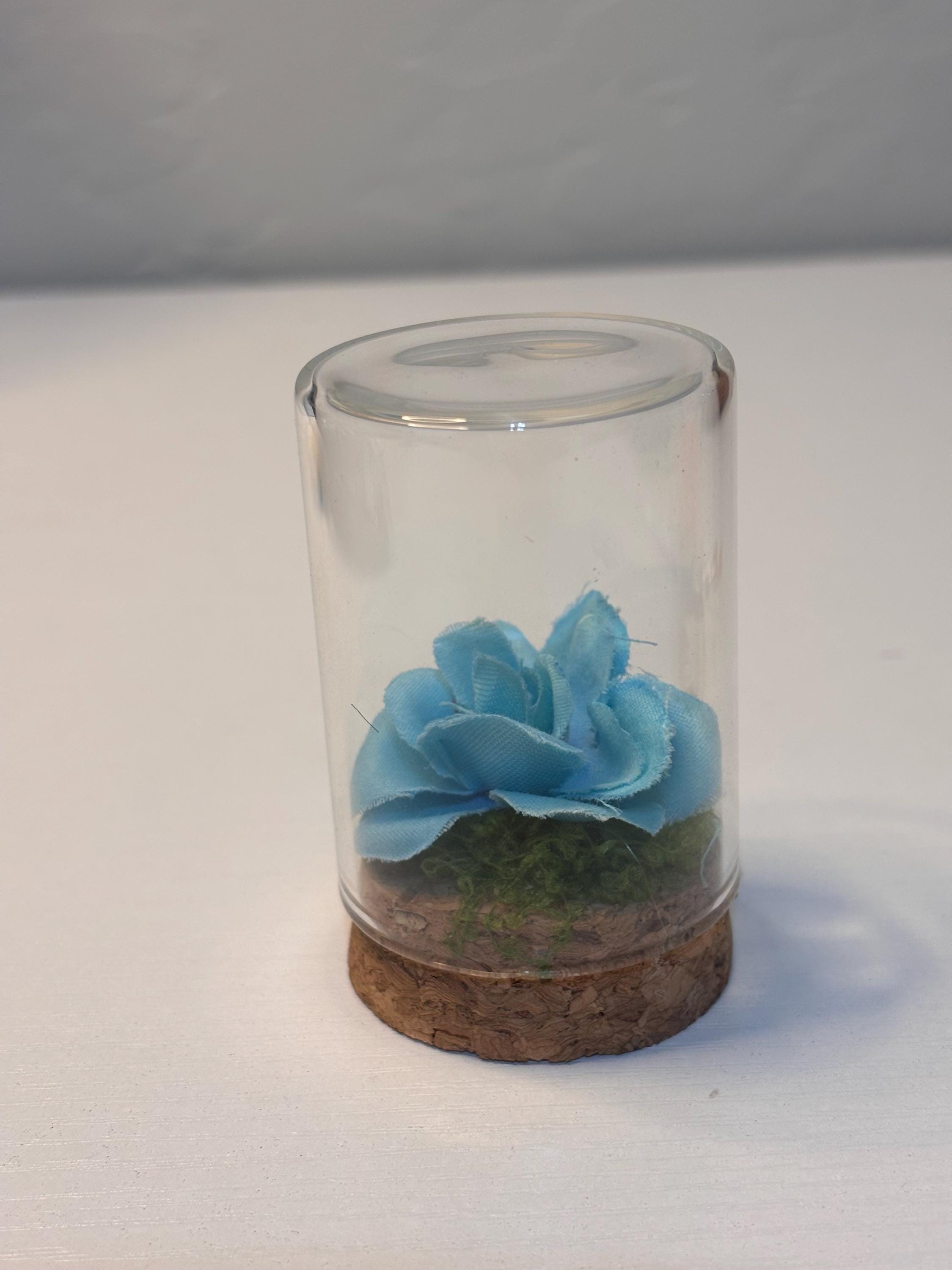 Memory Bottle for Jumping spider that has crossed the rainbow bridge.