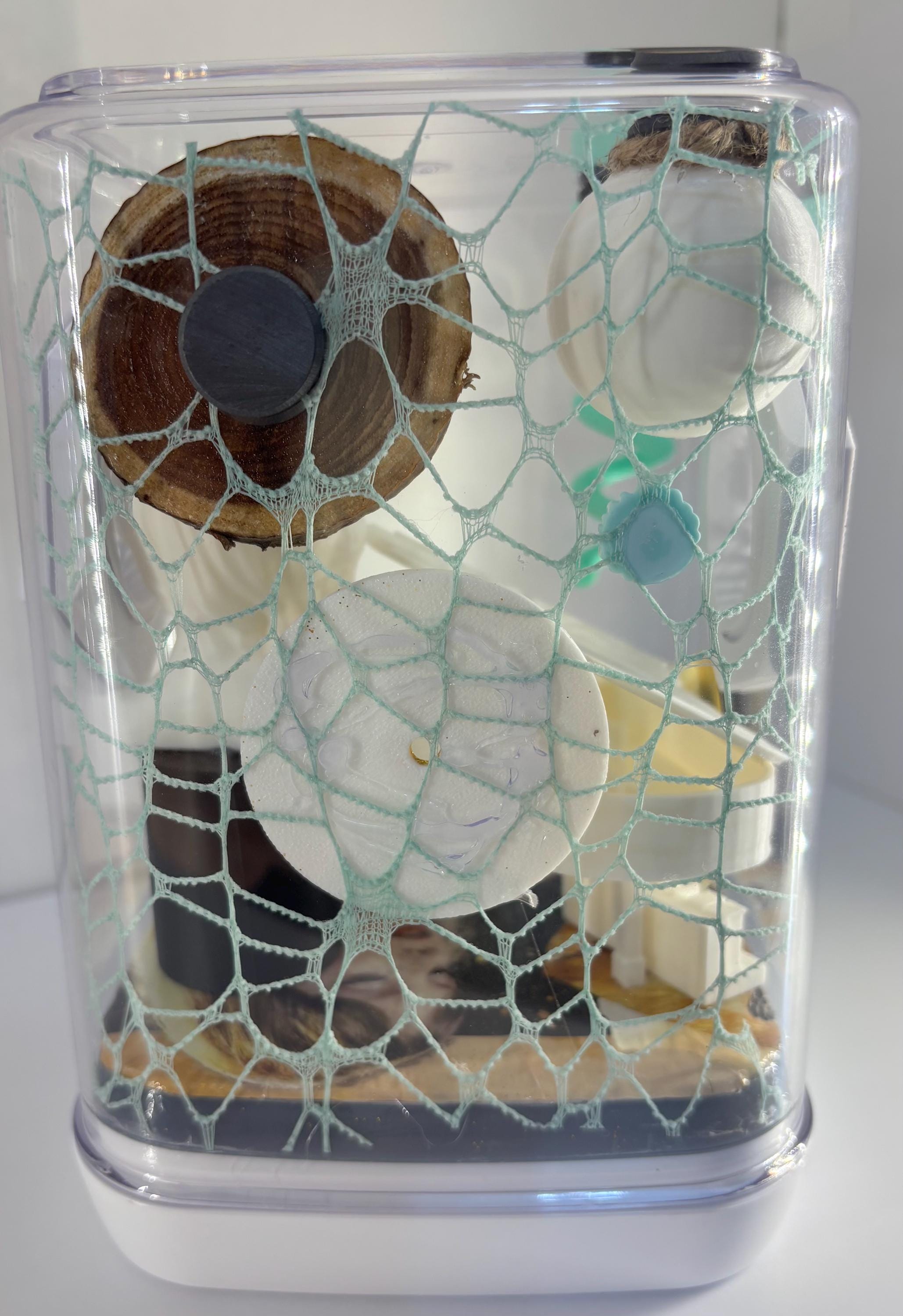 Medium Taylor Swift Fearless themed Jumping spider enclosure
