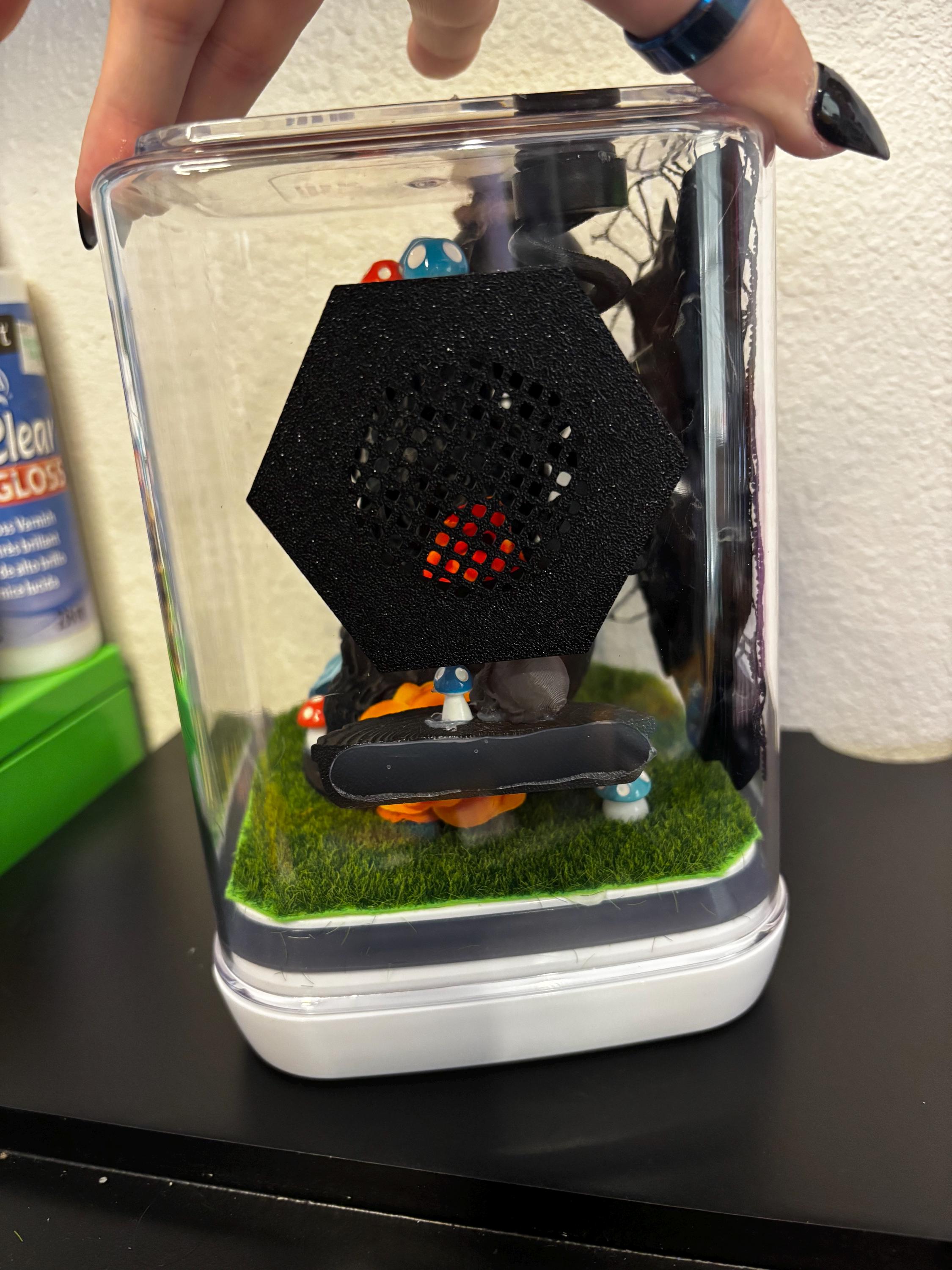 Medium Gothic/mushroom themed Jumping spider enclosure