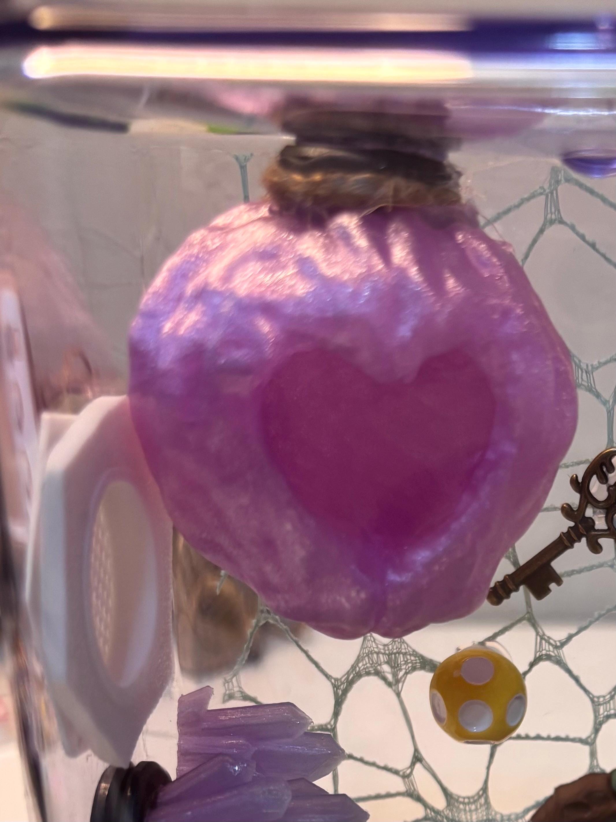 Heart Walnut Hide for Jumping spider in a variety of colors