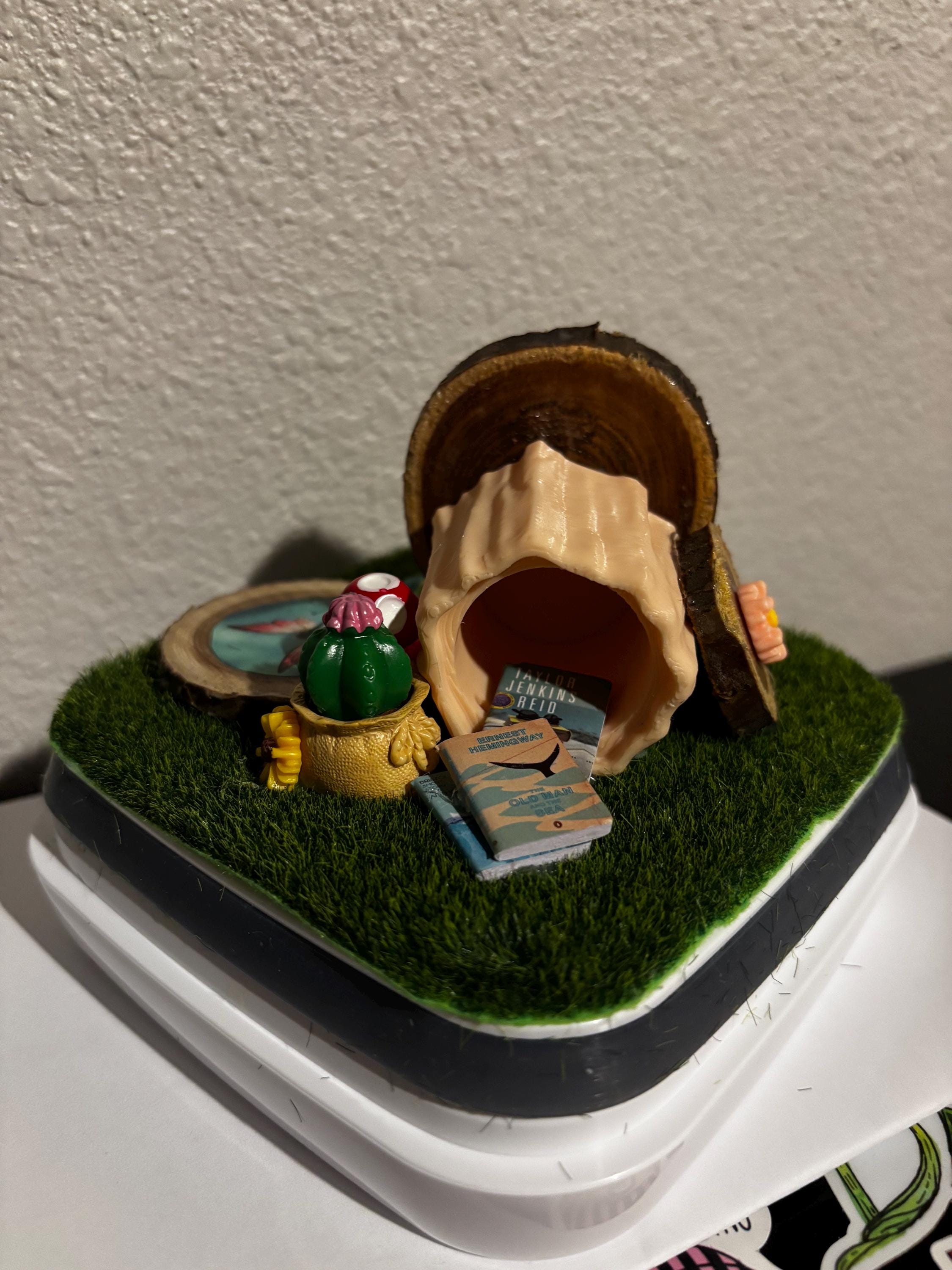 Medium Fairy Garden #2 themed Jumping spider enclosure