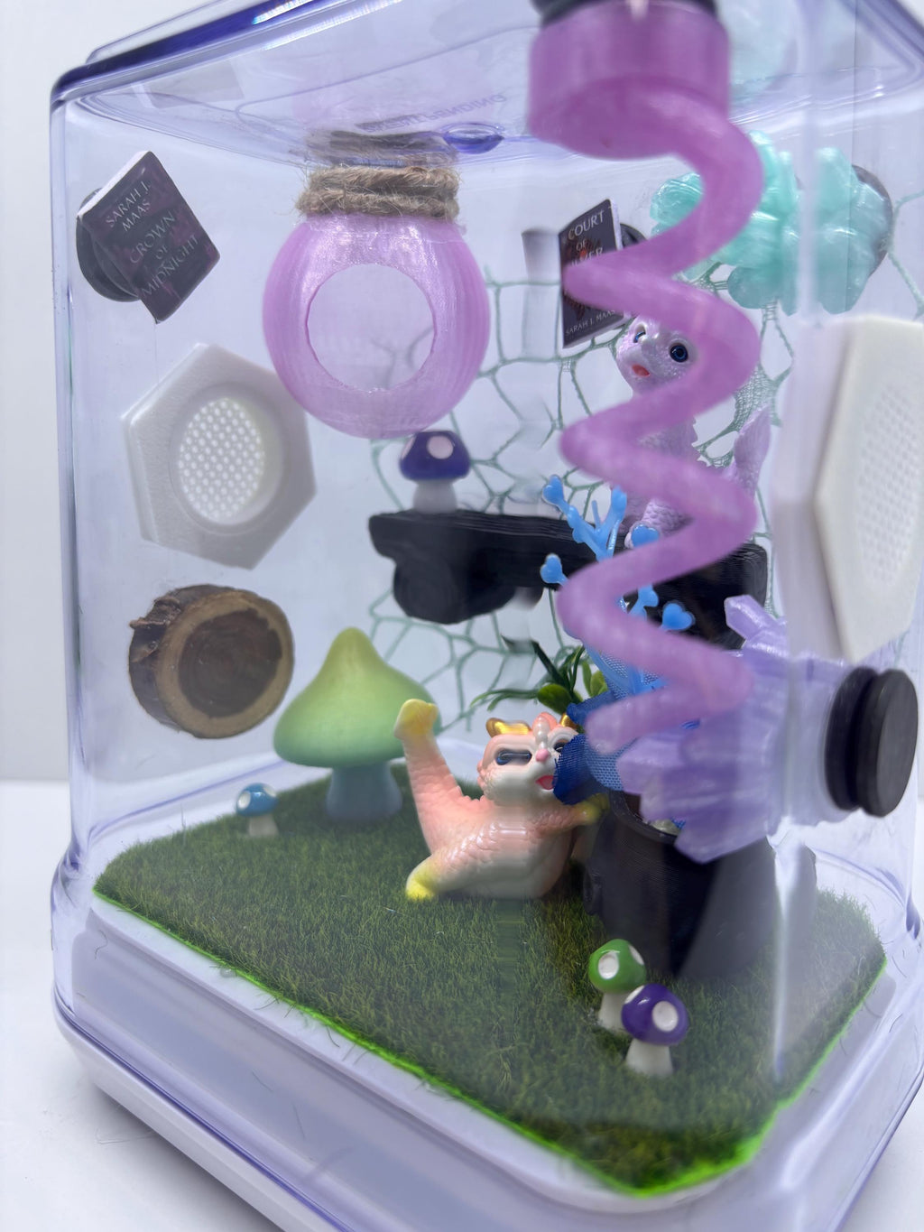 Dragon Fairy Garden Jumping spider enclosure