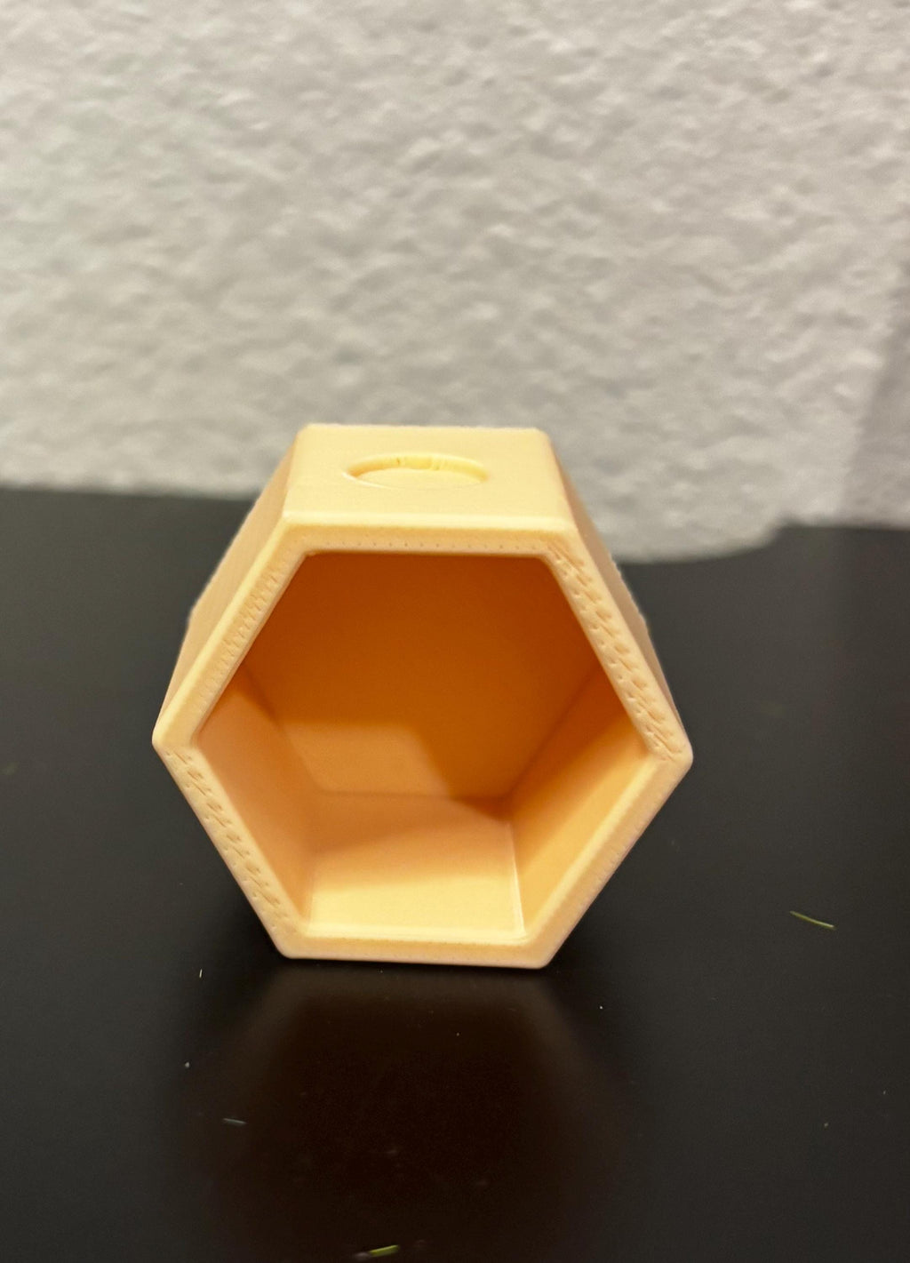 Hexagon Hide for Jumping spider in a variety of colors