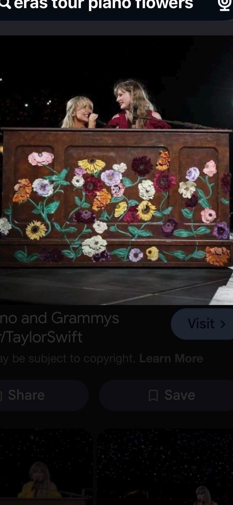 Eras Tour Piano for Jumping spider color brown and hand painted with flowers