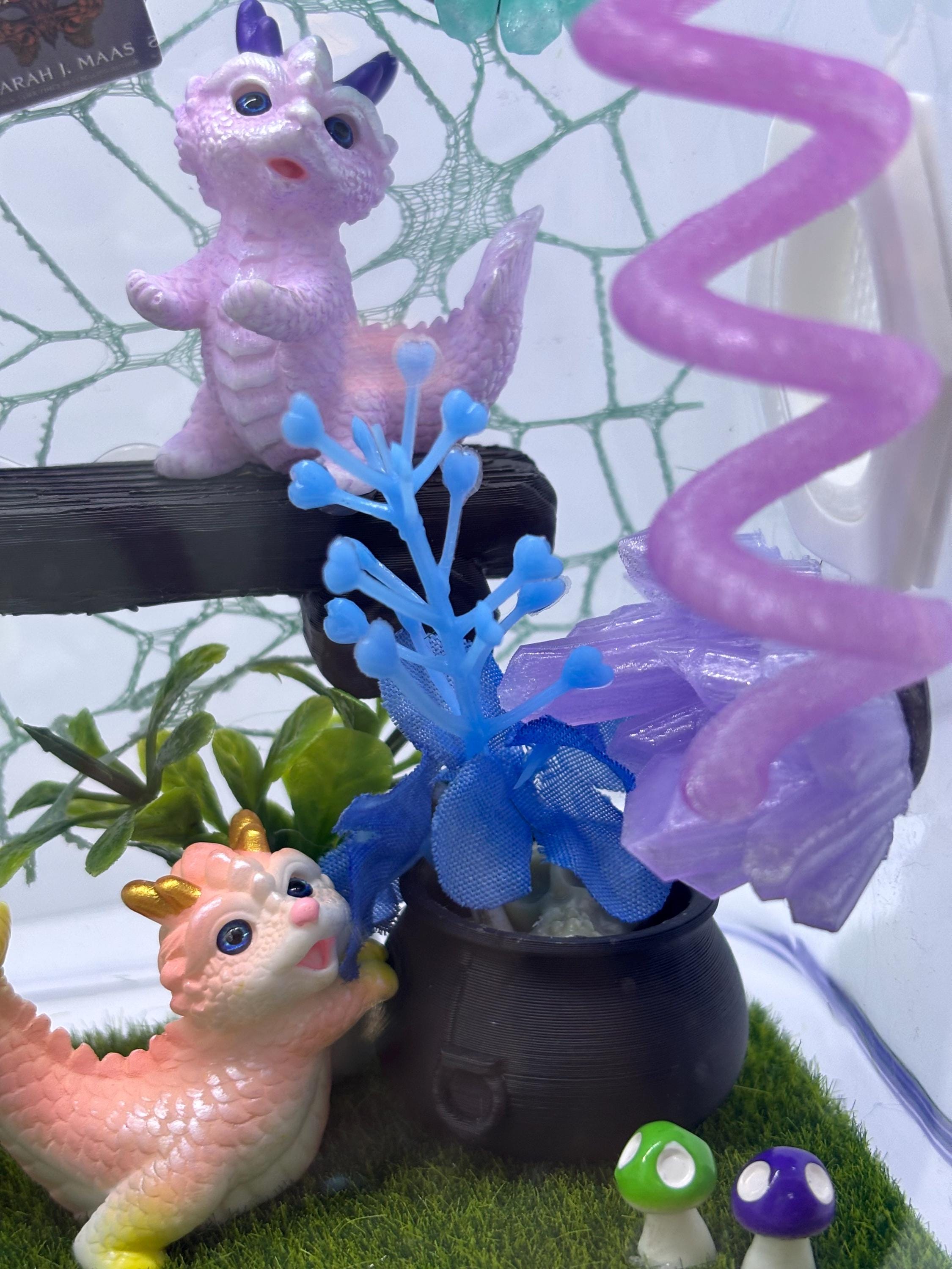 Dragon Fairy Garden Jumping spider enclosure