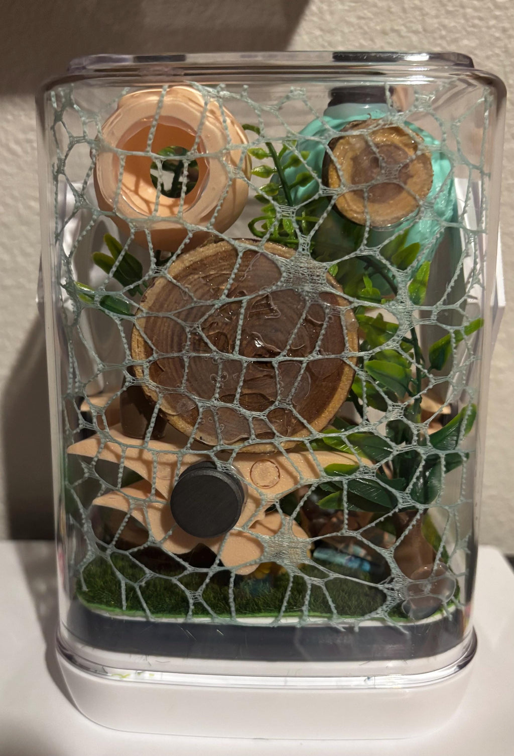 Medium Fairy Garden #2 themed Jumping spider enclosure