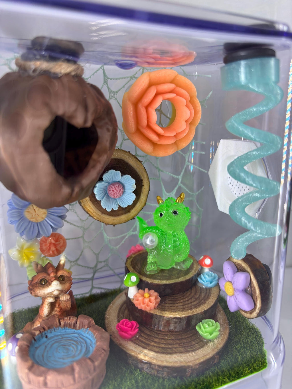 Dragon Fairy Garden Jumping spider enclosure