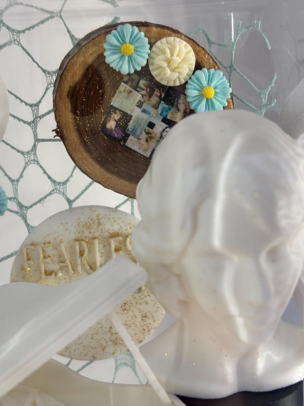 Medium Taylor Swift Fearless themed Jumping spider enclosure