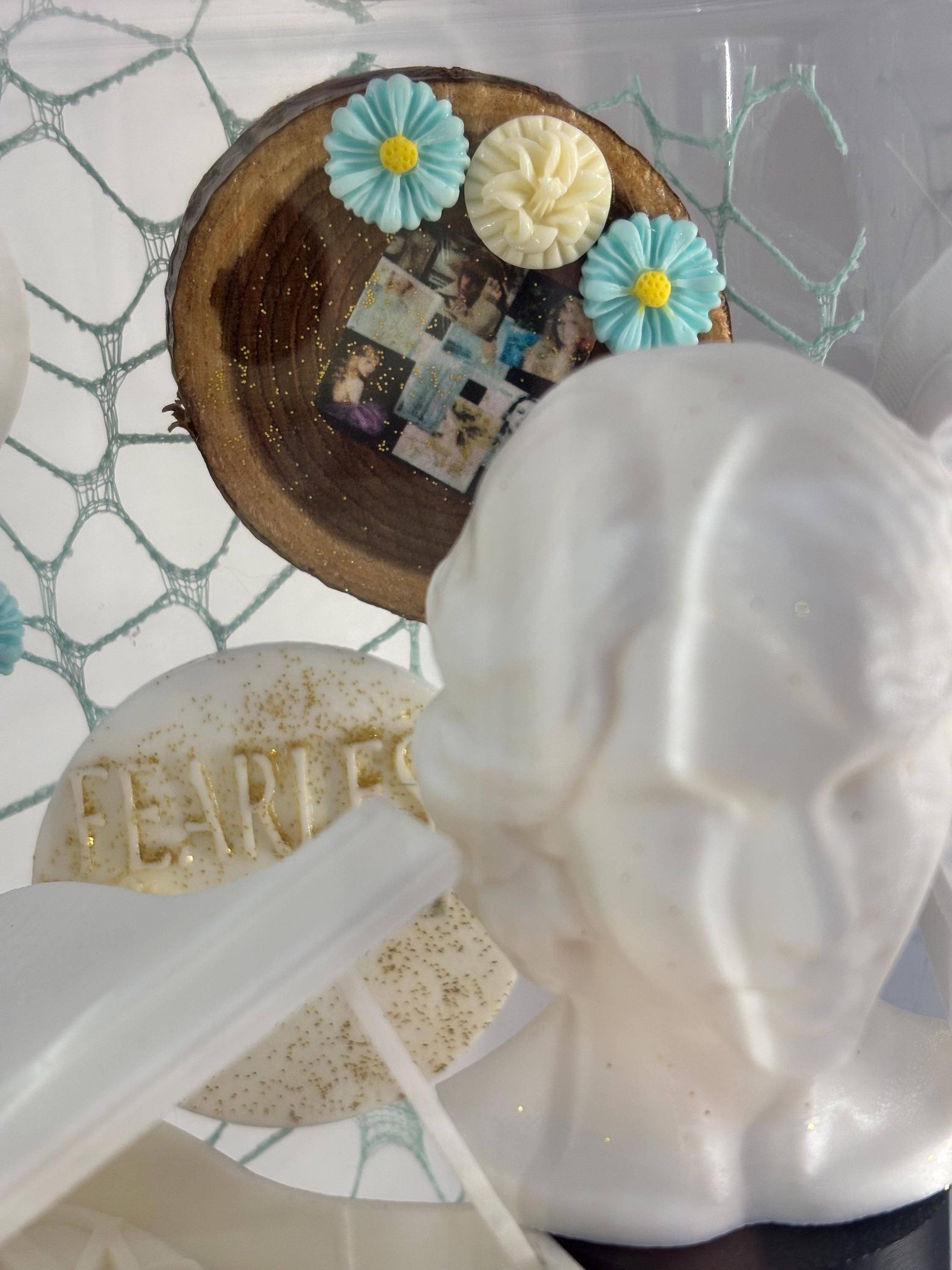Medium Taylor Swift Fearless themed Jumping spider enclosure