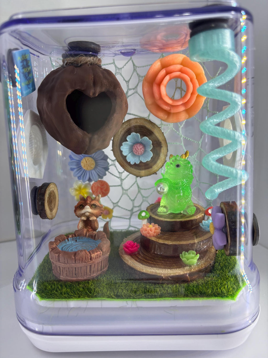 Dragon Fairy Garden Jumping spider enclosure
