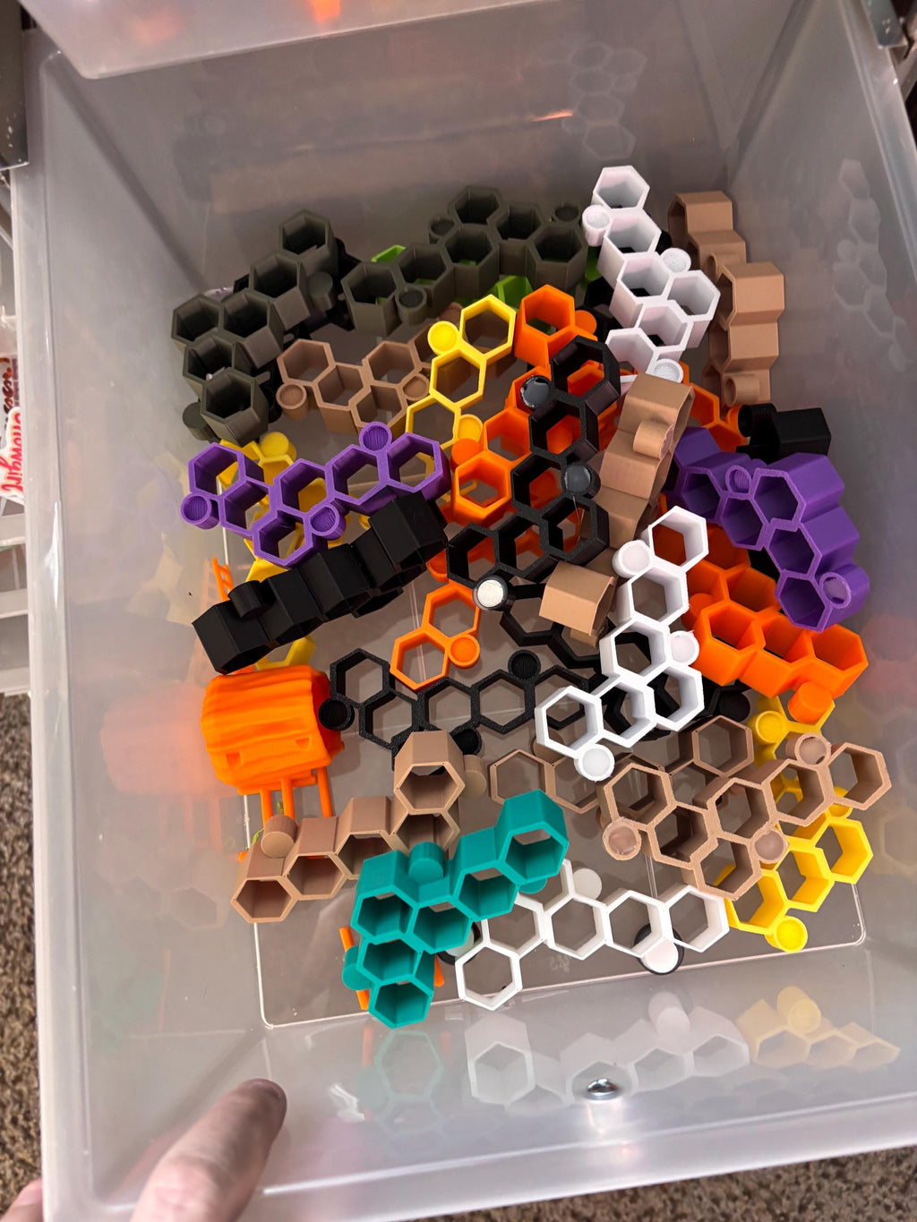 Jumping Spider Enclosure Accessories!!
