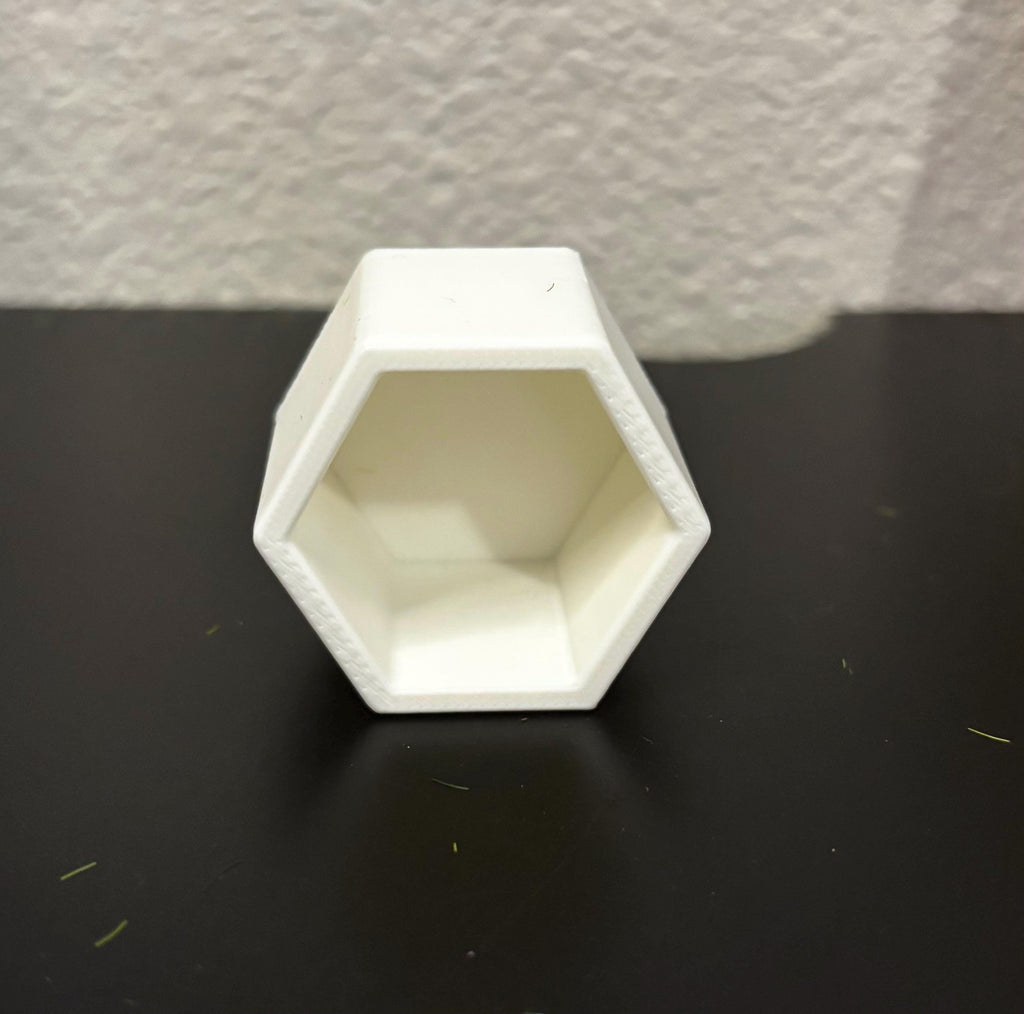 Hexagon Hide for Jumping spider in a variety of colors