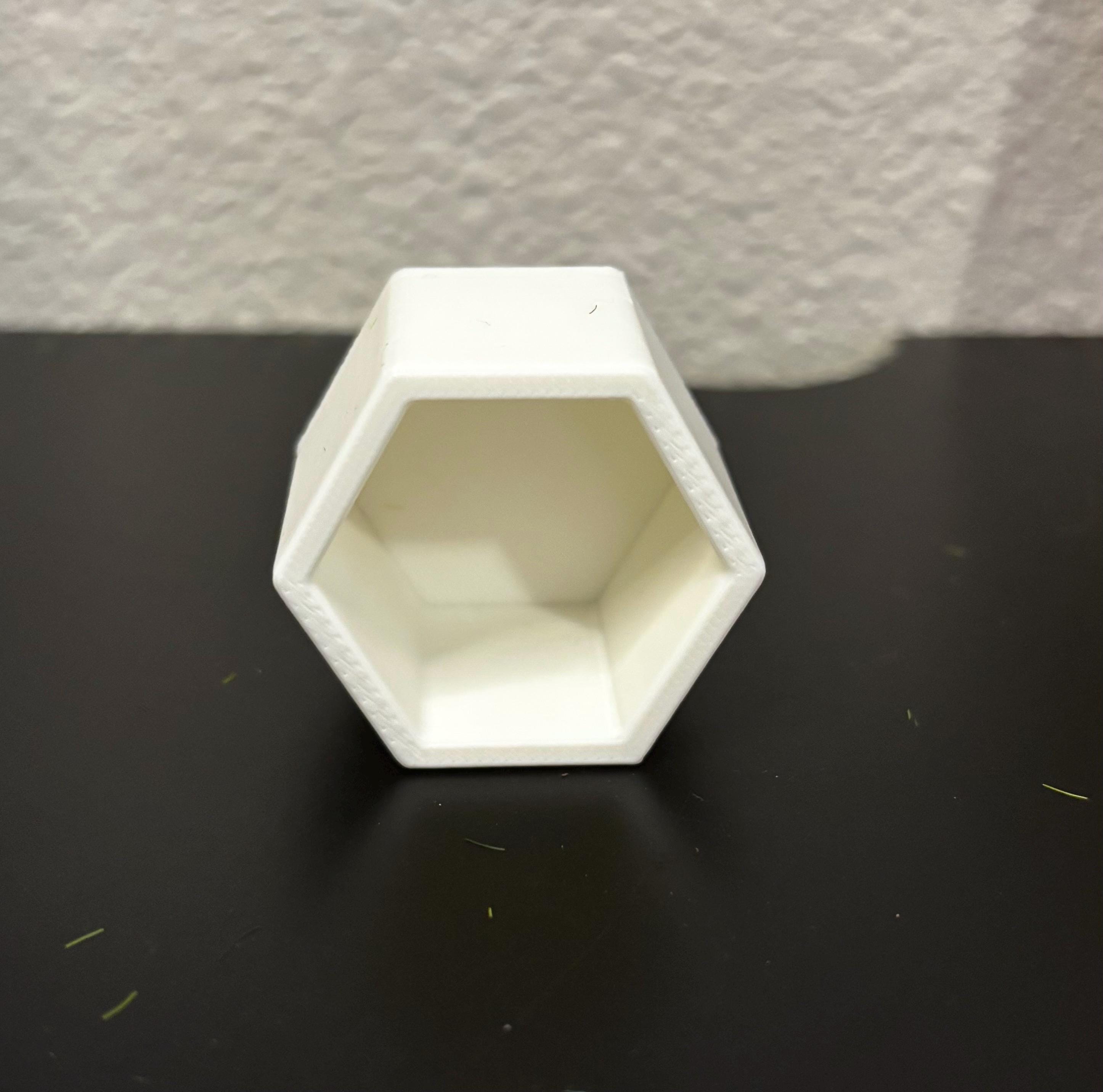 Hexagon Hide for Jumping spider in a variety of colors