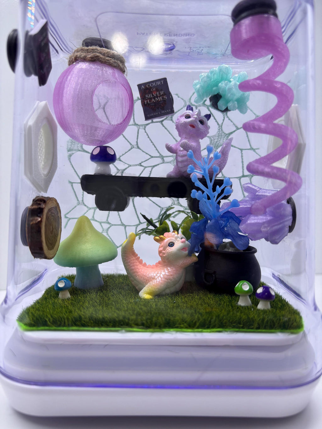 Dragon Fairy Garden Jumping spider enclosure