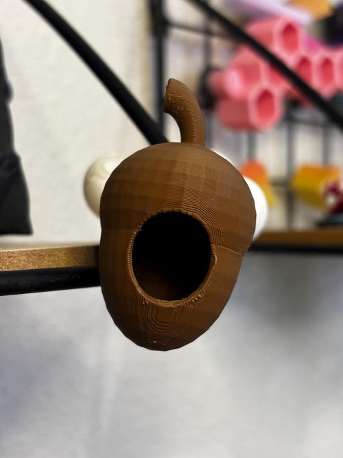 Acorn Hide for Jumping spider in a variety of colors