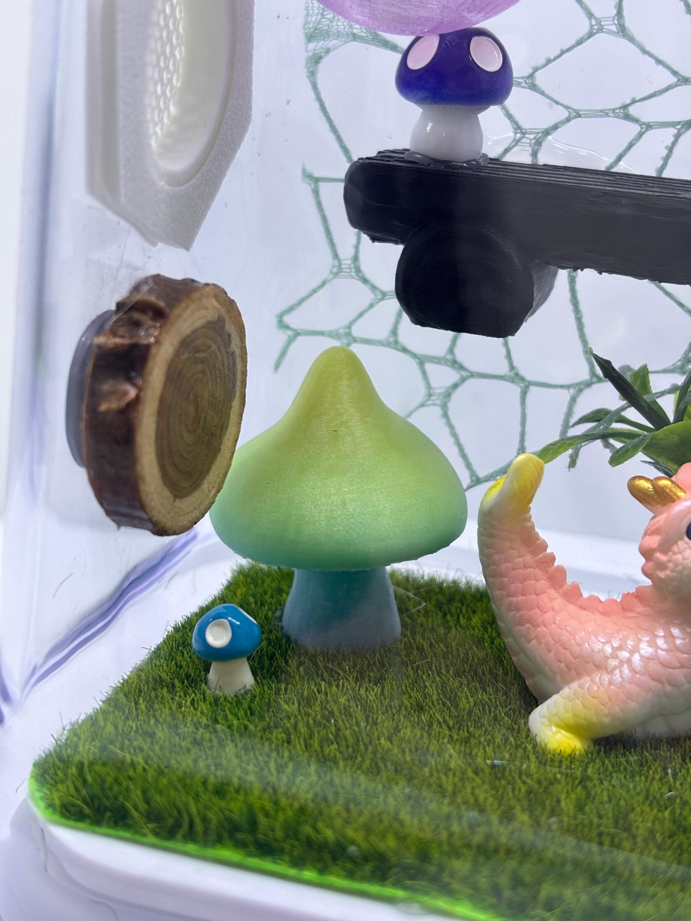 Dragon Fairy Garden Jumping spider enclosure